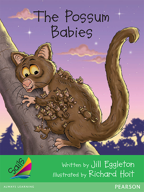 Picture of Sails Early Level 4 Set 2 - Green