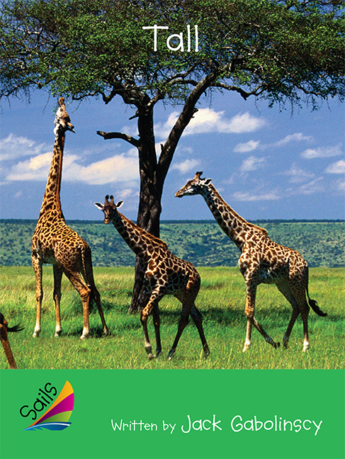 Picture of Sails Early Level 4 Set 2 - Green