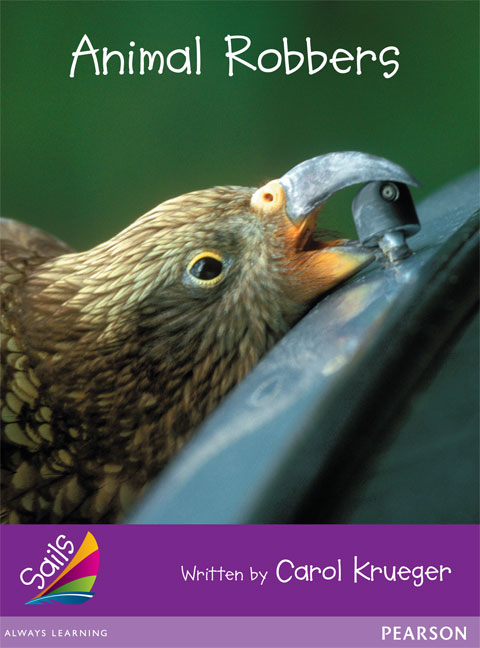 Picture of Sails Fluency Purple