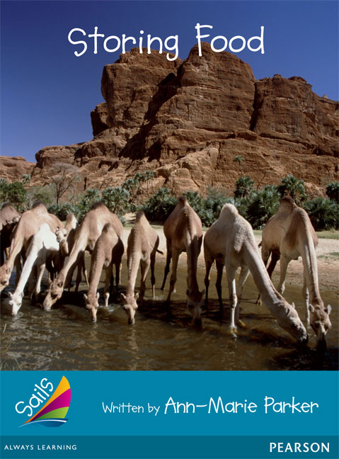 Picture of Sails Fluency Turquoise