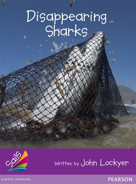 Picture of Sails Fluency Purple