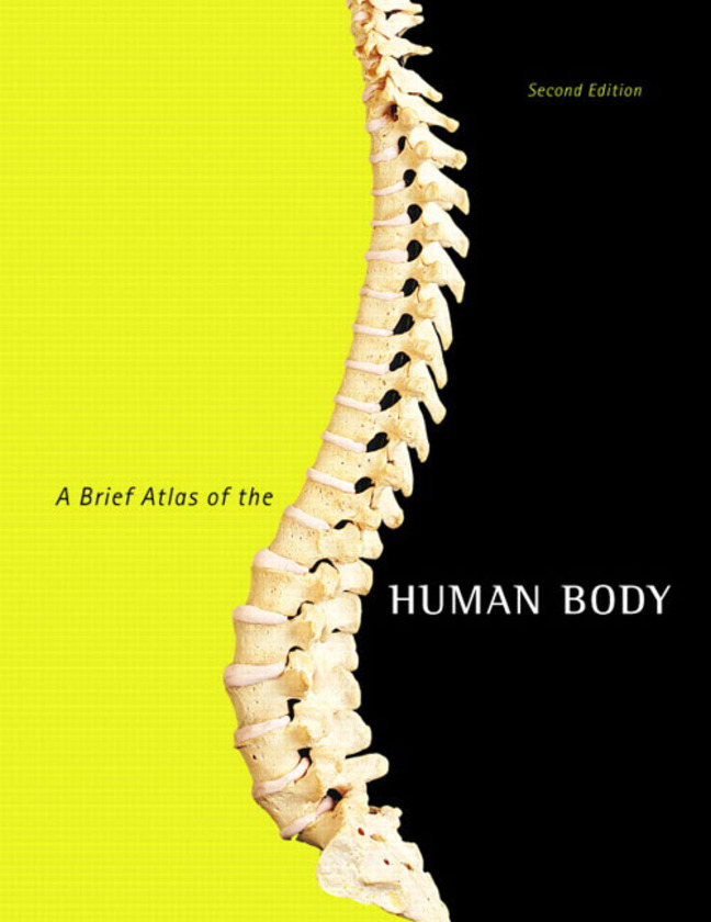 Picture of Brief Atlas of the Human Body, A