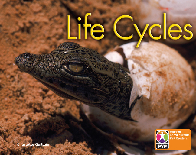 Picture of PYP L6 Life Cycles 6PK