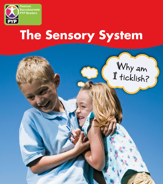 Picture of PYP L4 Sensory System 6PK