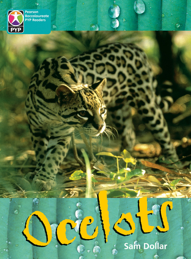 Picture of PYP L10 Ocelots 6PK