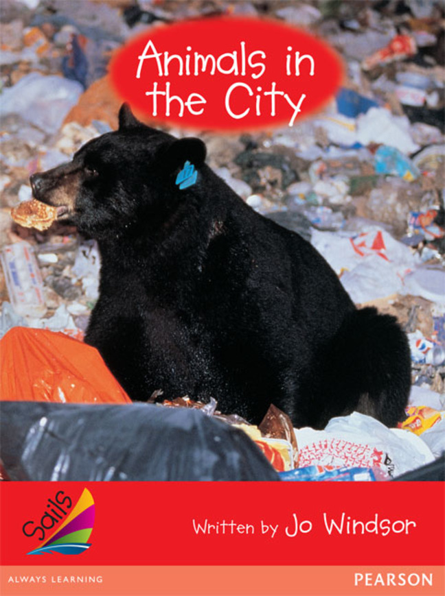 Picture of Sails Early Red Set 2