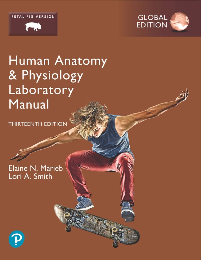 Picture of Human Anatomy & Physiology Laboratory Manual, Fetal Pig Version, Global Edition