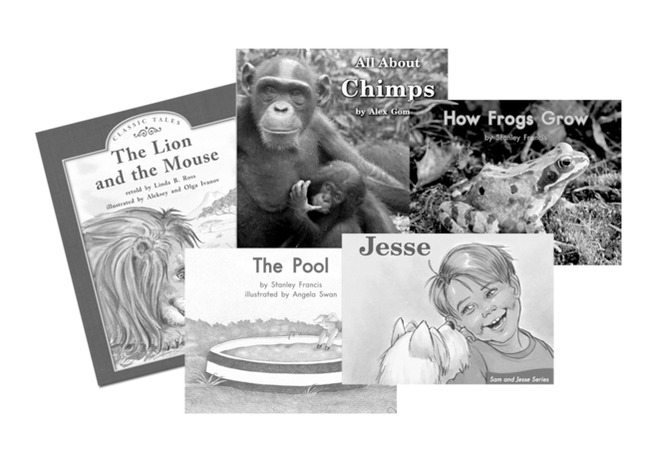 Picture of Fountas & Pinnell Leveled Literacy Intervention (LLI) Green Take-Home Book Package