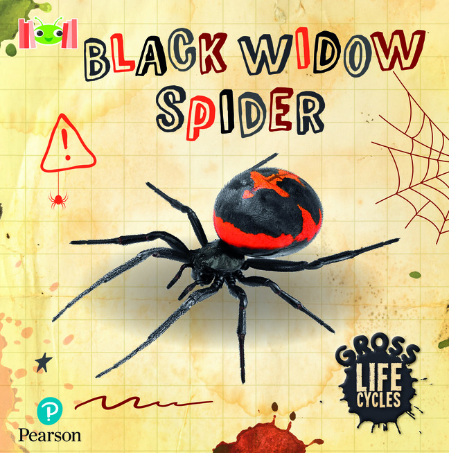 Picture of Bug Club Reading Corner: Age 5-7: Gross Lifecycles: Black Widow Spider