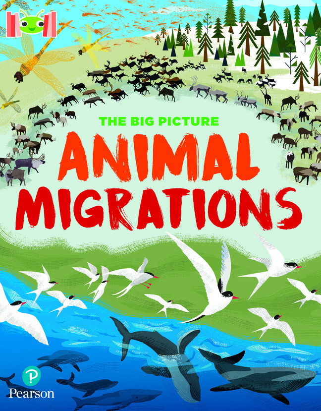 Picture of Bug Club Reading Corner: Age 7-11: The Big Picture: Animal Migrations