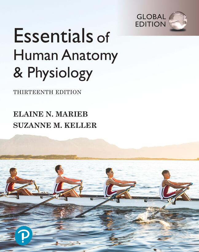 Picture of Essentials of Human Anatomy & Physiology, Global Edition + Mastering A&P with Pearson eText