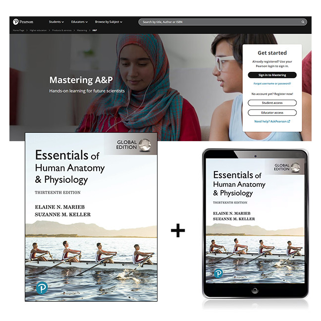 Picture of Essentials of Human Anatomy & Physiology, Global Edition + Mastering A&P with Pearson eText