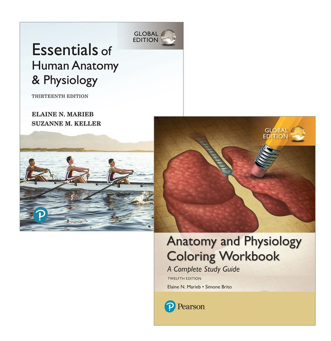 Picture of Essentials of Human Anatomy & Physiology, Global Edition + Anatomy and Physiology Coloring Workbook