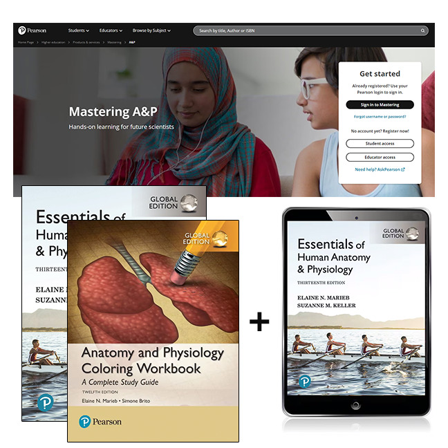 Picture of Essentials of Human Anatomy & Physiology, Global Edition + Anatomy and Physiology Coloring Workbook