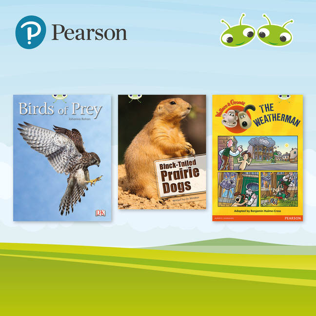 Bug Club Independent White Pack 2023 (17 books)